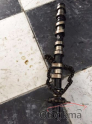 Oto Çıkma Parça / Kia / Rio / Motor / Motor (komple) / Çıkma Parça 