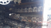 Oto Çıkma Parça / Hyundai / Accent / Motor / Motor (komple) / Çıkma Parça 