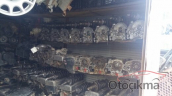Oto Çıkma Parça / Hyundai / Accent / Motor / Motor (komple) / Çıkma Parça 