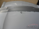 Oto Çıkma Parça / Renault / Fluence / Kaporta & Karoser / Kaput / Çıkma Parça 
