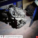 citroen saxo motor