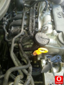 Hurda Belgeli Araçlar / Volkswagen / Polo