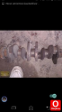 Oto Çıkma Parça / Renault / R 12 / Motor / Krank / Çıkma Parça 