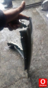 Oto Çıkma Parça / Mazda / 323 / Kaporta & Karoser / Sağ Ön Çamurluk / Çıkma Parça 
