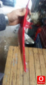 Oto Çıkma Parça / Volkswagen / Beetle / Kaporta & Karoser / Sol Ön Çamurluk / Çıkma Parça 