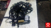 Oto Çıkma Parça / Ford / Tourneo Connect / Motor / Elektrik Tesisatı / Çıkma Parça 