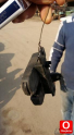 Oto Çıkma Parça / Volkswagen / Polo / Elektrik / Merkezi Kilit Motoru / Çıkma Parça 