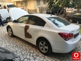 Oto Çıkma Parça / Chevrolet / Cruze / Yakıt / Yakıt Deposu / Çıkma Parça 