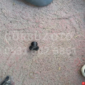 Oto Çıkma Parça / Peugeot / 206 / Direksiyon / Direksiyon Kapağı / Çıkma Parça 