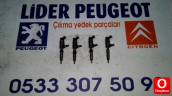 Oto Çıkma Parça / Citroen / Berlingo / Motor / Enjektör / Çıkma Parça 