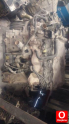 Oto Çıkma Parça / Nissan / Navara / Alt Takım / Taşıyıcı / Çıkma Parça 