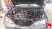Oto Çıkma Parça / Nissan / Primera / Motor / Silindir Kapağı / Çıkma Parça 