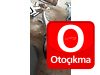 Oto Çıkma Parça / Bmw / 5 Serisi / Kaporta & Karoser / Arka Çamurluk / Çıkma Parça 