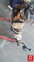 Oto Çıkma Parça / Bmc / Levend / Motor / Motor (komple) / Çıkma Parça 