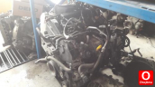 Oto Çıkma Parça / Volkswagen / Passat / Motor / Motor (komple) / Çıkma Parça 