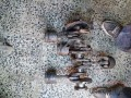BOXER 2000 MOTOR KRANK
