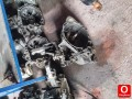 BOXER 1.9 ÇIKMA ŞANZIMAN
