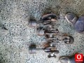 BOXER 2000 MOTOR ÇIKMA KRANK