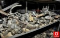 JEEP ÇIKMA POWER MEVCUTTUR