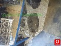 CİTROE JUMPER 2.8 ÇIKMA ŞANZIMAN