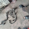 Peugeot 406 motor tesisatıGÜRBÜZ OTO 05316026861