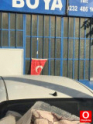 Linea hatasız tavan