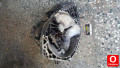 GM 90 334 345 F13 OPEL ASTRA F 1.4  5 İLERİ ŞANZIMAN HATASIZ