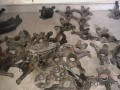 HONDA ÇIKMA TAŞIYICI-FORYA ADNAN TÜRK OTO DA