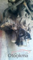 Oto Çıkma Parça / Nissan / Primera / Şanzıman / Şanzıman Komple / Çıkma Parça 