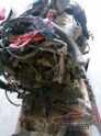 Oto Çıkma Parça / Volkswagen / Transporter / Motor / Motor (komple) / Çıkma Parça 