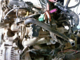 Oto Çıkma Parça / Volkswagen / Transporter / Motor / Motor (komple) / Çıkma Parça 