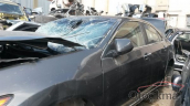 Hurda Belgeli Araçlar / Honda / Accord