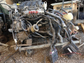 Oto Çıkma Parça / Renault / Megane / Motor / Motor (komple) / Çıkma Parça 