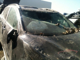 Hurda Belgeli Araçlar / Nissan / Qashqai