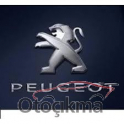 Hurda Belgeli Araçlar / Peugeot / 206