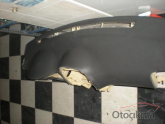 Oto Çıkma Parça / Kia / Cerato / Göğüslük & Torpido / Komple Torpido / Çıkma Parça 