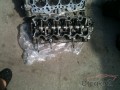 Oto Çıkma Parça / Toyota / C-HR Hybrid / Motor / Blok / Çıkma Parça 