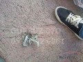 Oto Çıkma Parça / Peugeot / 206 / Kaporta & Karoser / Kaput Kilidi / Çıkma Parça 