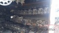 Oto Çıkma Parça / Nissan / Primera / Motor / Silindir Kapağı / Çıkma Parça 