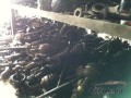 Oto Çıkma Parça / Honda / Civic / Alt Takım / Taşıyıcı / Çıkma Parça 