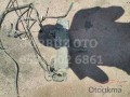 Oto Çıkma Parça / Peugeot / 301 / Yakıt / Yakıt Pompası / Çıkma Parça 