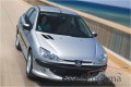 Oto Çıkma Parça / Peugeot / 206 / Kaporta & Karoser / Kaput / Çıkma Parça 