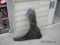 Oto Çıkma Parça / Kia / Cerato / Kaporta & Karoser / Sağ Ön Çamurluk / Çıkma Parça 