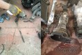 Oto Çıkma Parça / Mazda / E-2200 / Radyatör / Yedek Su Deposu / Çıkma Parça 