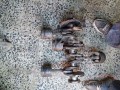 Oto Çıkma Parça / Peugeot / Boxer / Motor / Krank / Çıkma Parça 