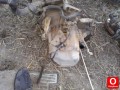 Oto Çıkma Parça / Peugeot / 206 / Şanzıman / Şanzıman Komple / Çıkma Parça 
