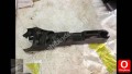 Oto Çıkma Parça / Hyundai / Getz / Vites / Vites Konsolu / Çıkma Parça 