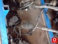 Oto Çıkma Parça / Fiat / Ducato / Direksiyon / Direksiyon Kutusu / Çıkma Parça 