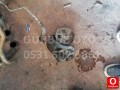 Oto Çıkma Parça / Peugeot / 206 / Direksiyon / Direksiyon Pompası / Çıkma Parça 