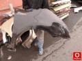 Oto Çıkma Parça / Citroen / C4 / Kaporta & Karoser / Sağ Ön Çamurluk / Çıkma Parça 